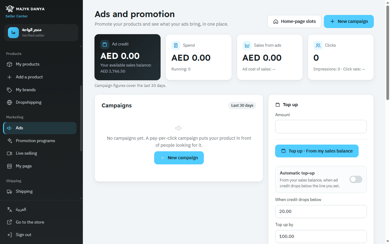 The Ads page: ad credit, campaigns and their results